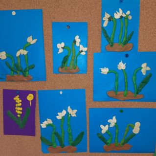 Наши первоцветы