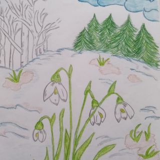 Первые цветы