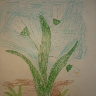 Весеннее утро с подснежником