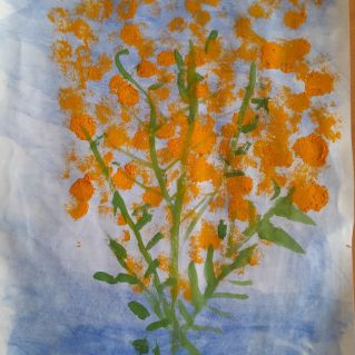 Веточка мимозы