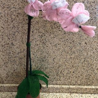 Орхидея для мамы