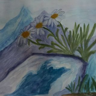 "Эдельвейс"