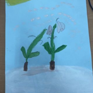 "Подснежники"