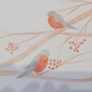 Снегири зимой