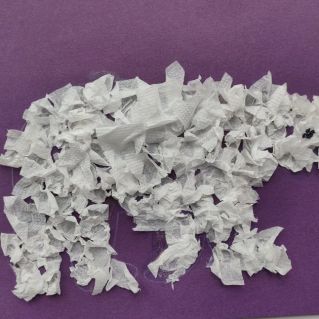 Белый медведь