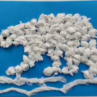 Северный гость