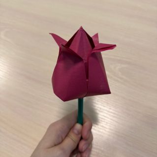 "Прекрасный весенний тюльпан"