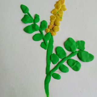 Веточка мимозы