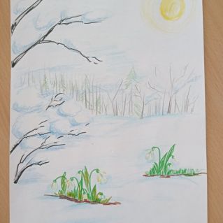 Вот и первые цветочки!!!!