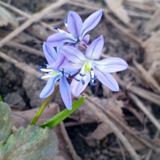 Солнышку навстечу!