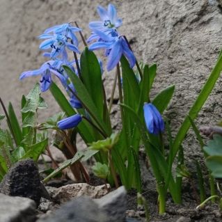 Смирно! Идет весна!