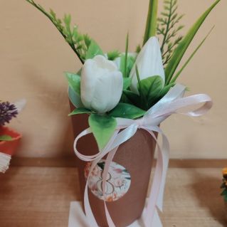 Первые тюльпаны