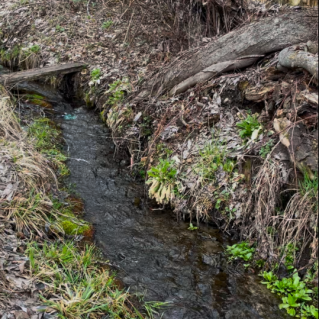 Звуки весны