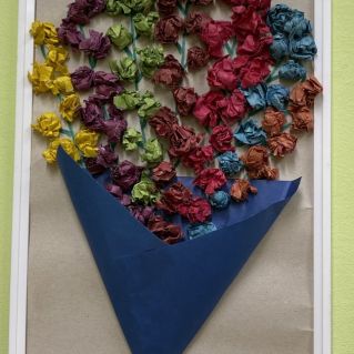 Разноцветные мимозы