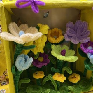 Прекрасные цветы