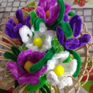 Первые первоцветы