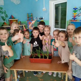 "Лук растет на огороде, Он большой хитрец в природе"