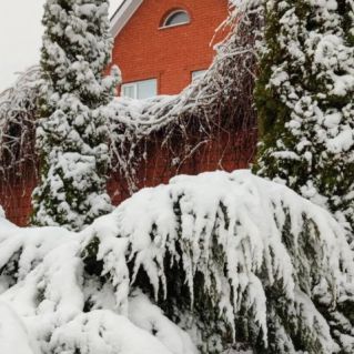 Зимний день