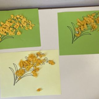 Веточки мимозы