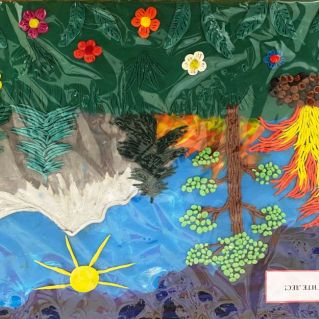 Берегите лес!