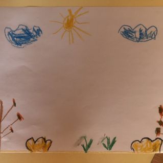 Первоцветы нашей весны