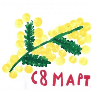 Мимоза — символ Международного женского дня