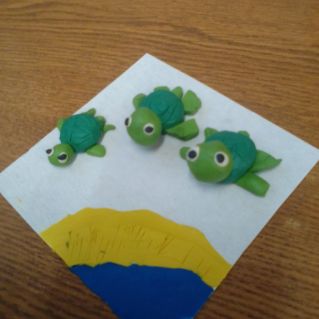 Черепашки на острове