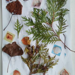 Воспоминание о лете