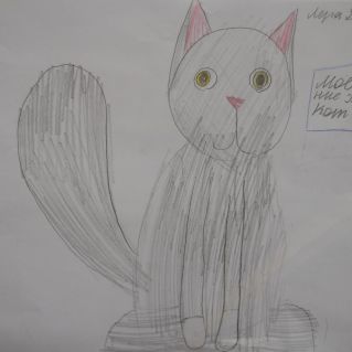 Мой кот Барон