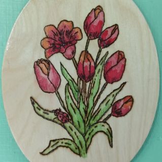 Тюльпанчики