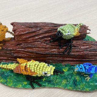 Эти удивительные птички