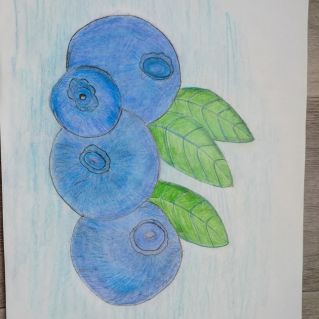 "Полезные витамины"