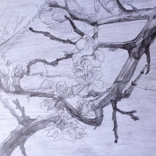 К нам пришла весна