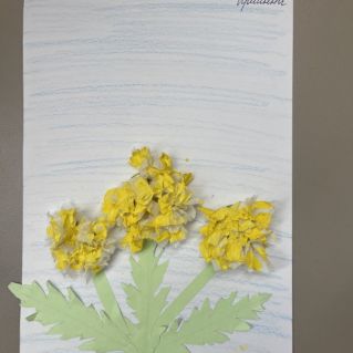 "Одуванчик"