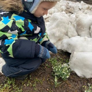 Подснежник