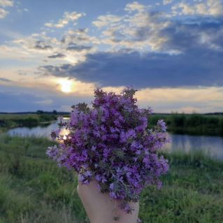 Донской букет