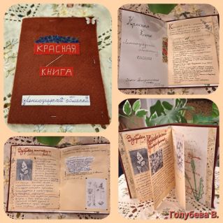 Красная Книга растений Ленинградской области. Декоративно-прикладное творчество.