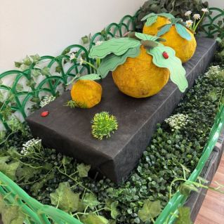 " Чудо-Репка!"