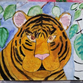 Амурский тигр