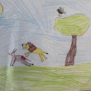 Лев - уязвимый вид саванны