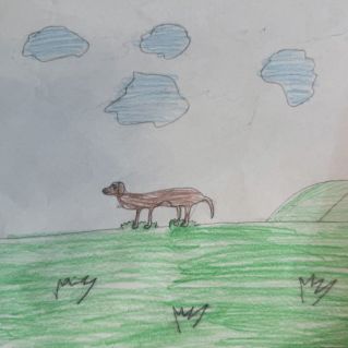 Радостная прогулка