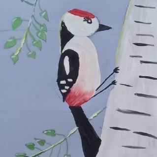 Дятел на берёзе