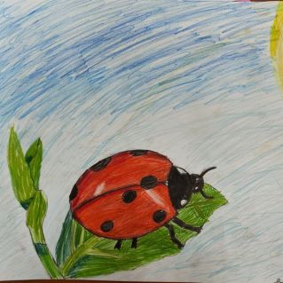 Божья коровка