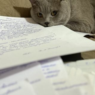 Шустрик-работяга