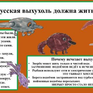 Русская выхухоль должна жить!