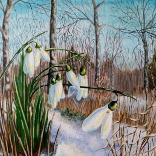 Пробуждение природы