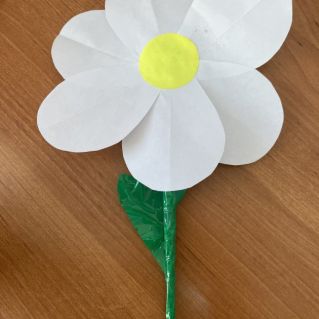 Красавица-ромашка.