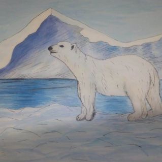 "На крайнем севере"