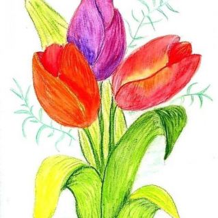 Букет тюльпанов