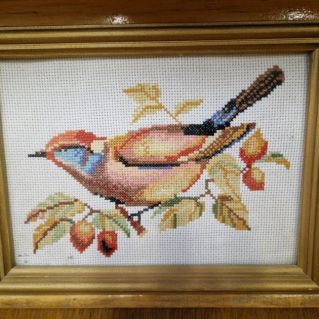 вышивка "Птица на ветке"